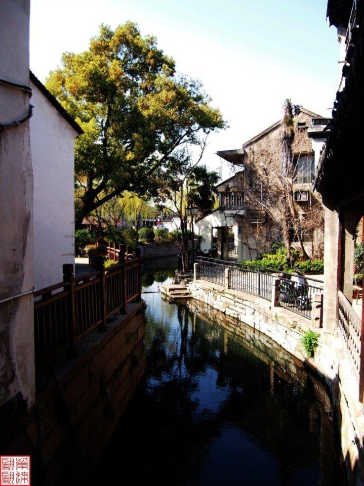 篮球大师